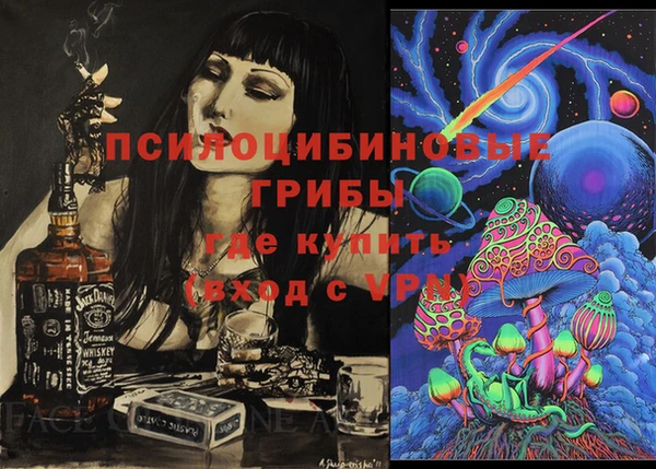 бошки Абаза