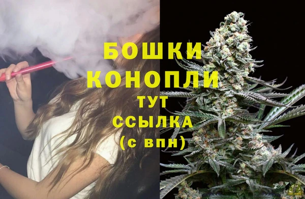 прущие грибы Абдулино