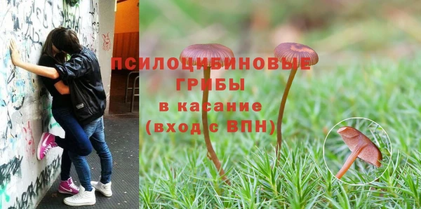 гашиш Алексин
