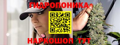 кокс Нальчик