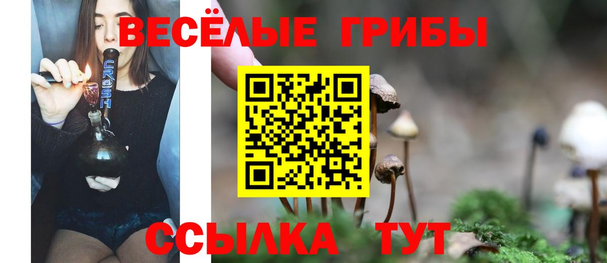 Галлюциногенные грибы GOLDEN TEACHER  Псилоцибиновые грибы прущие грибы  Киржач  продажа наркотиков  Вход с VPN 