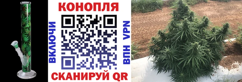 Конопля Amnesia  Киржач 